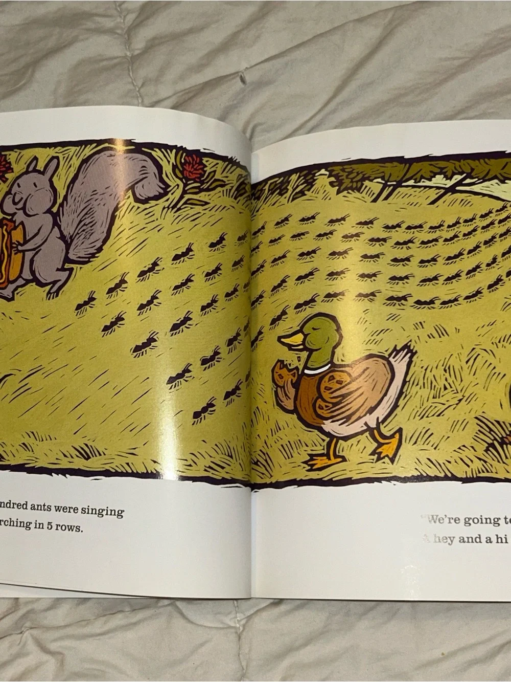 Houghton Mifflin there was